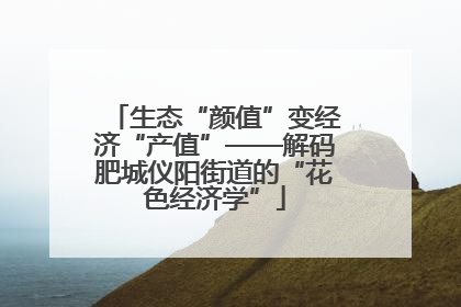 生态“颜值”变经济“产值”——解码肥城仪阳街道的“花色经济学”