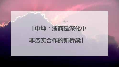 申坤：浙商是深化中非务实合作的新桥梁