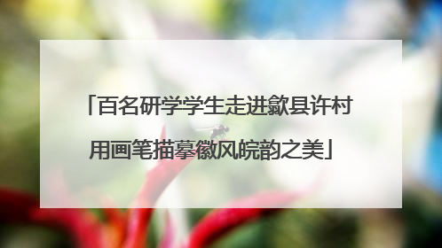 百名研学学生走进歙县许村 用画笔描摹徽风皖韵之美
