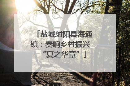 盐城射阳县海通镇：奏响乡村振兴“夏之华章”