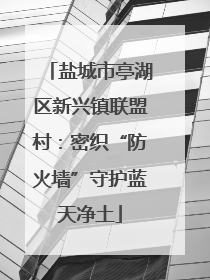 盐城市亭湖区新兴镇联盟村：密织“防火墙”守护蓝天净土