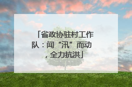 省政协驻村工作队：闻“汛”而动，全力抗洪