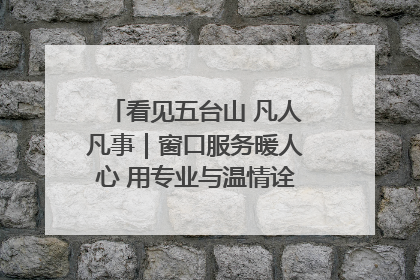 看见五台山 凡人凡事｜窗口服务暖人心 用专业与温情诠释责任担当