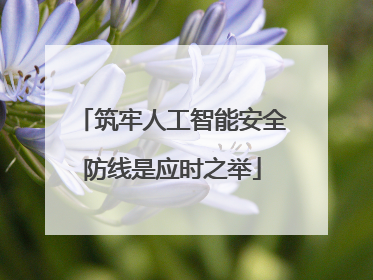 筑牢人工智能安全防线是应时之举