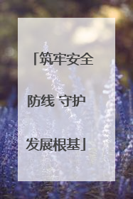 筑牢安全防线 守护发展根基