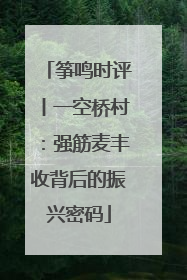 筝鸣时评丨一空桥村：强筋麦丰收背后的振兴密码