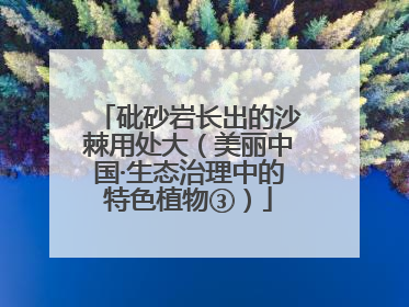 砒砂岩长出的沙棘用处大（美丽中国·生态治理中的特色植物③）