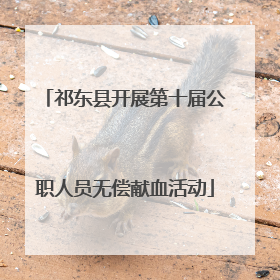 祁东县开展第十届公职人员无偿献血活动