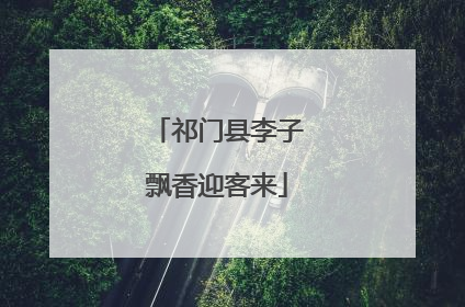 祁门县李子飘香迎客来