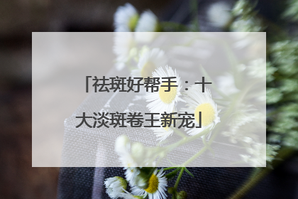 祛斑好帮手：十大淡斑卷王新宠