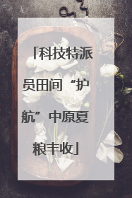 科技特派员田间“护航”中原夏粮丰收