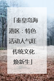秦皇岛海港区：特色活动人气旺 传统文化焕新生