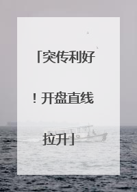 突传利好！开盘直线拉升