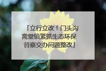 立行立改！门头沟斋堂镇紧抓生态环保督察交办问题整改