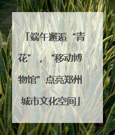 端午邂逅“青花”，“移动博物馆”点亮郑州城市文化空间