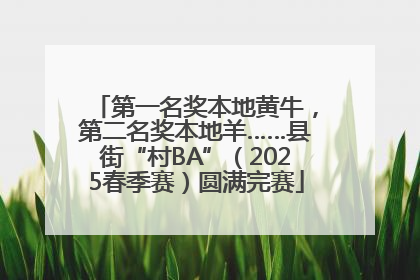 第一名奖本地黄牛，第二名奖本地羊……县街“村BA”（2025春季赛）圆满完赛