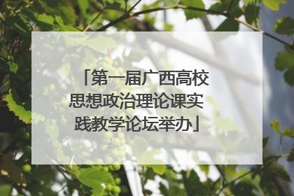 第一届广西高校思想政治理论课实践教学论坛举办