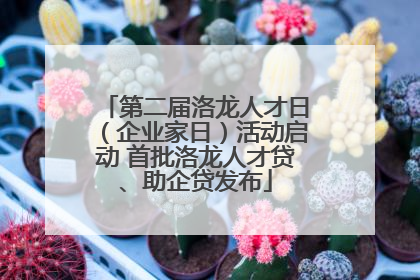 第二届洛龙人才日（企业家日）活动启动 首批洛龙人才贷、助企贷发布