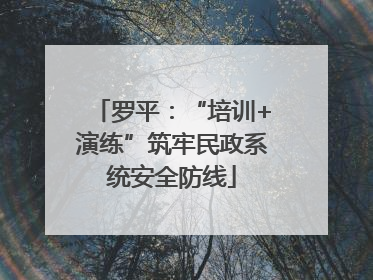 罗平：“培训+演练”筑牢民政系统安全防线