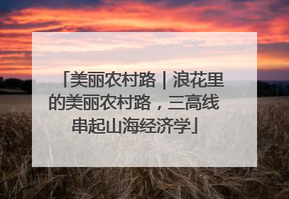 美丽农村路｜浪花里的美丽农村路，三高线串起山海经济学