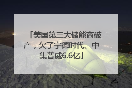 美国第三大储能商破产，欠了宁德时代、中集普威6.6亿