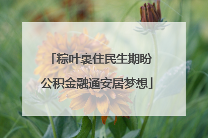 粽叶裹住民生期盼 公积金融通安居梦想