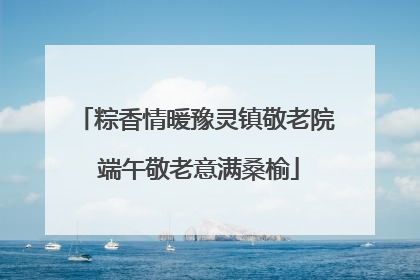 粽香情暖豫灵镇敬老院 端午敬老意满桑榆