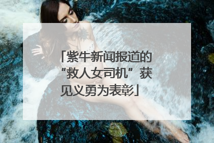 紫牛新闻报道的“救人女司机”获见义勇为表彰