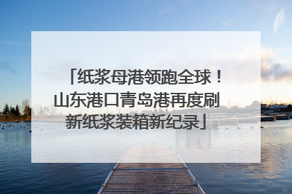 纸浆母港领跑全球！山东港口青岛港再度刷新纸浆装箱新纪录