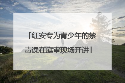 红安专为青少年的禁毒课在庭审现场开讲