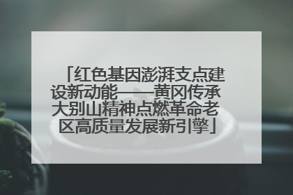 红色基因澎湃支点建设新动能——黄冈传承大别山精神点燃革命老区高质量发展新引擎