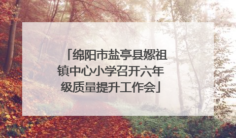 绵阳市盐亭县嫘祖镇中心小学召开六年级质量提升工作会