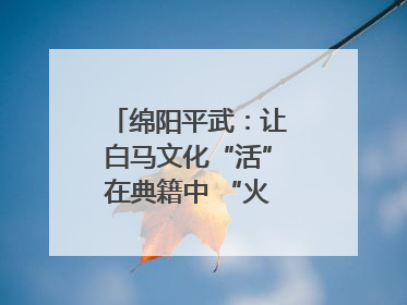 绵阳平武：让白马文化“活”在典籍中 “火”在生活里｜新闻发布最前线