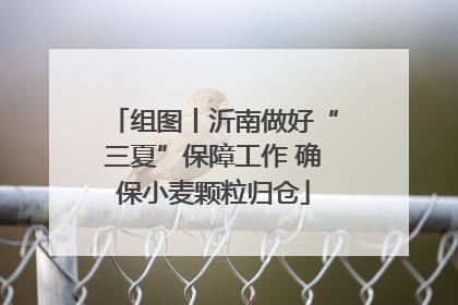 组图丨沂南做好“三夏”保障工作 确保小麦颗粒归仓