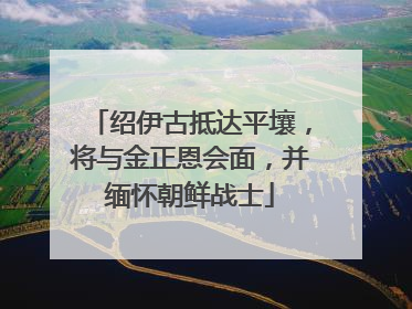 绍伊古抵达平壤，将与金正恩会面，并缅怀朝鲜战士