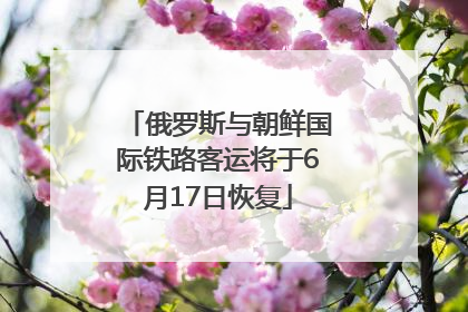 俄罗斯与朝鲜国际铁路客运将于6月17日恢复