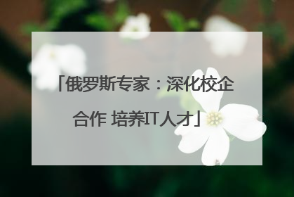 俄罗斯专家：深化校企合作 培养IT人才