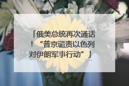 俄美总统再次通话！“普京谴责以色列对伊朗军事行动”