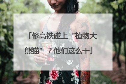 修高铁碰上“植物大熊猫”？他们这么干