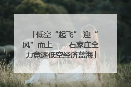 低空“起飞” 迎“风”而上——石家庄全力竞逐低空经济蓝海