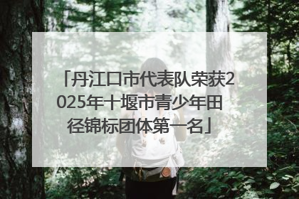 丹江口市代表队荣获2025年十堰市青少年田径锦标团体第一名