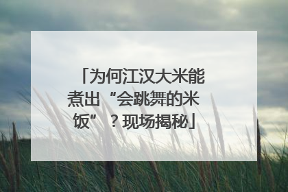为何江汉大米能煮出“会跳舞的米饭”？现场揭秘