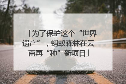 为了保护这个“世界遗产”，蚂蚁森林在云南再“种”新项目