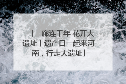 一廊连千年 花开大遗址丨遗产日一起来河南，行走大遗址