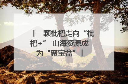 一颗枇杷走向“枇杷+” 山海资源成为“聚宝盆”