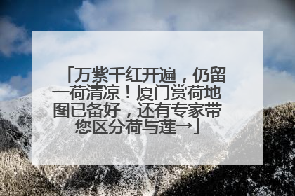 万紫千红开遍，仍留一荷清凉！厦门赏荷地图已备好，还有专家带您区分荷与莲→