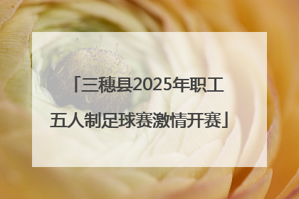 三穗县2025年职工五人制足球赛激情开赛