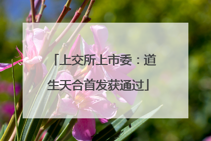上交所上市委：道生天合首发获通过