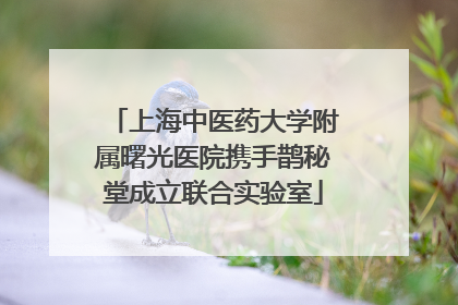 上海中医药大学附属曙光医院携手鹊秘堂成立联合实验室