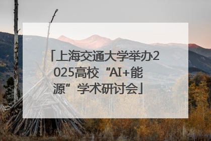 上海交通大学举办2025高校“AI+能源”学术研讨会
